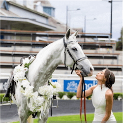 Sydney Spring Carnival: The Wait Is Over