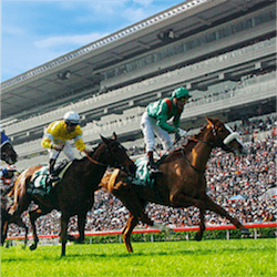 Two Weeks of Top Aus. Racing Ahead