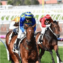 Small Field for Turnbull Stakes