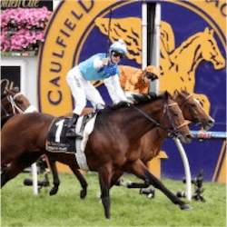 Bonneval A Bright Shining Star At Caulfield