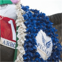 Richest Of All: 2018 Pegasus World Cup