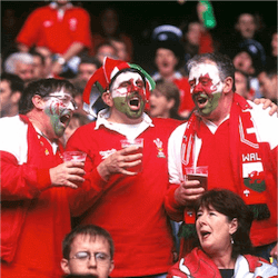 Fans Warned Of Complete Alcohol Ban