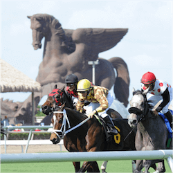 Gallo Obtains Stake In Pegasus World Cup