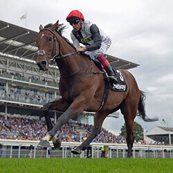 Cracksman Future Plans Put On Hold