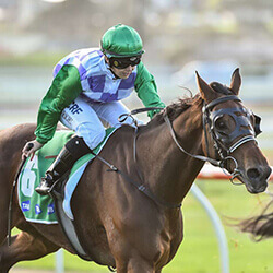Trainer Patrick Ryan Fills Home Track Places