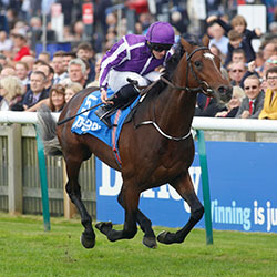 Kew Gardens Claims St Leger Stakes Victory
