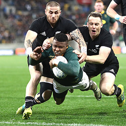 All Blacks Win Against The Springboks