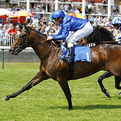 Blue Point Wins Royal Ascot 2019
