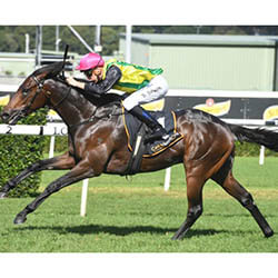 The Chosen One Secures Place at Caulfield