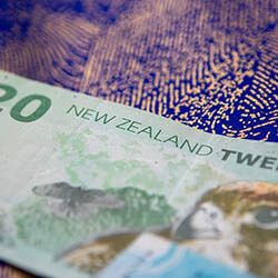 NZ Sports to Receive Millions in Recovery Package